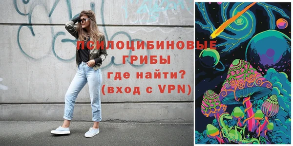 тгк Аркадак