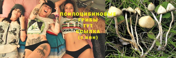 тгк Аркадак