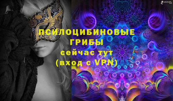 тгк Аркадак
