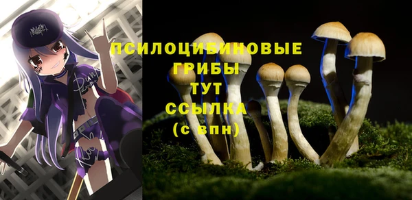 а пвп мука Армянск